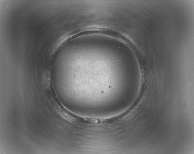 X0000067501355200604071215