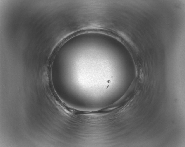 X0000067501356200604071215