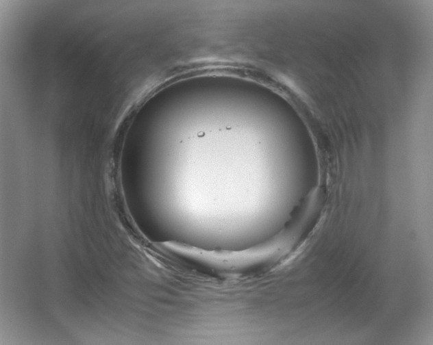 X0000067501357200604071215