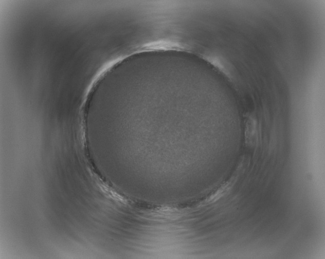 X0000067501358200604071215