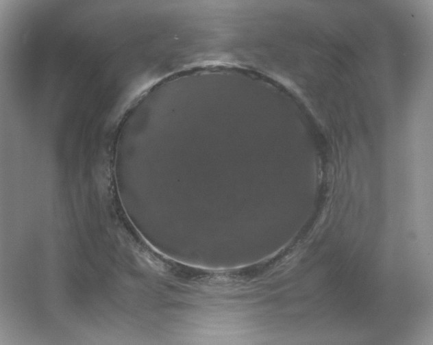 X0000067501359200604071215