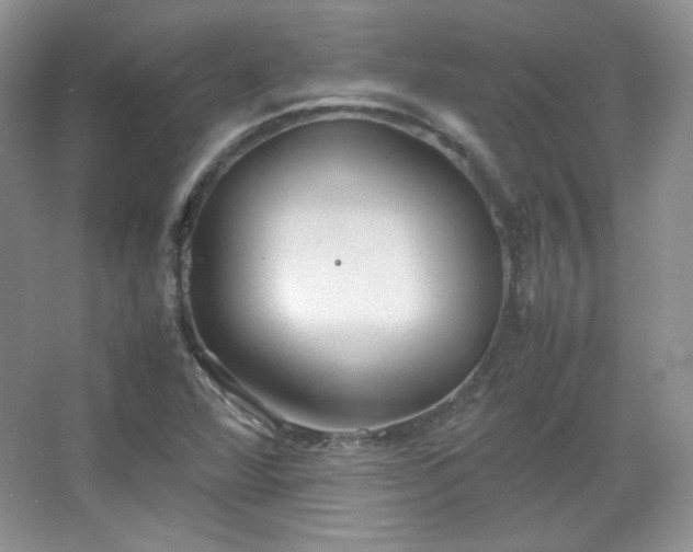 X0000067501360200604071215