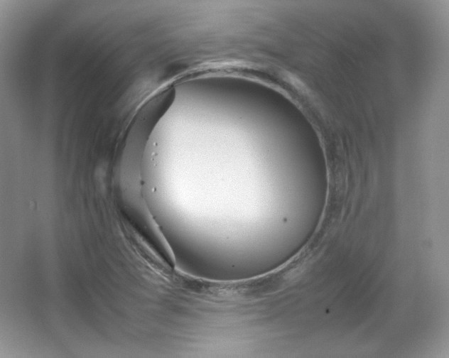 X0000067501361200604071215