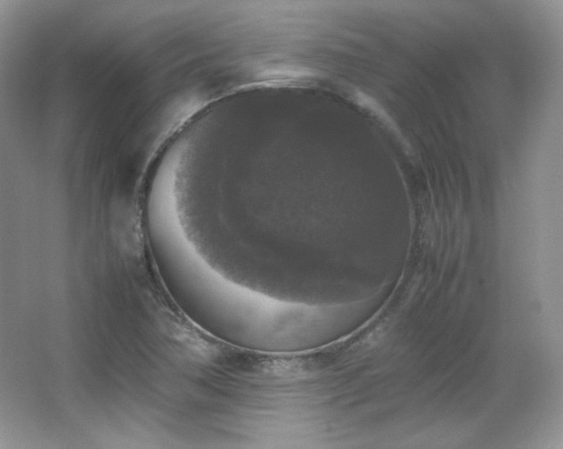 X0000067501362200604071215