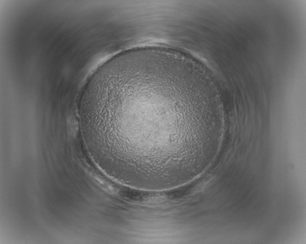 X0000067501363200604071215