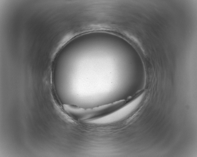 X0000067501365200604071215