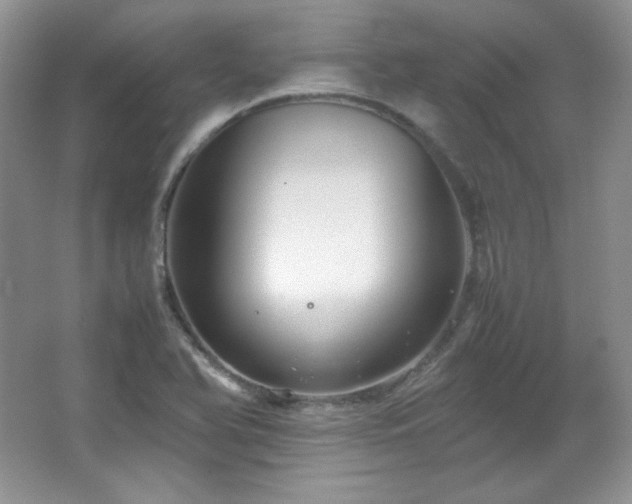 X0000067501366200604071215