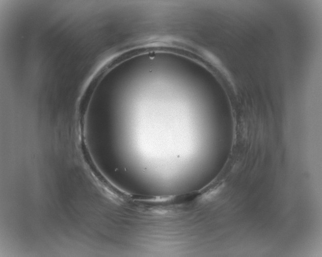 X0000067501368200604071215