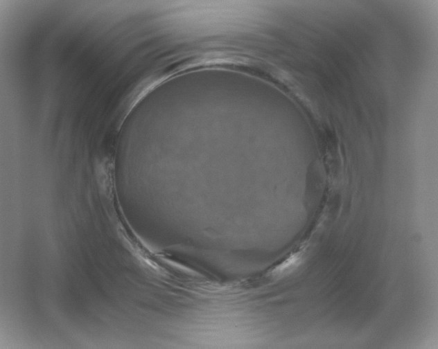 X0000067501369200604071215