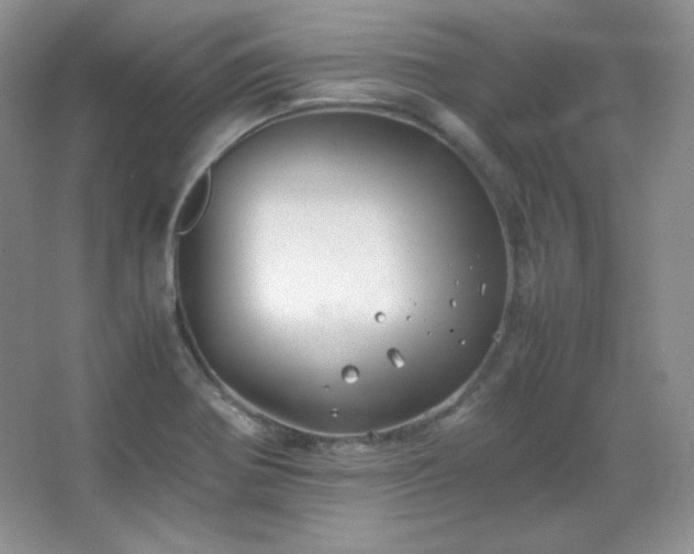 X0000067501370200604071215