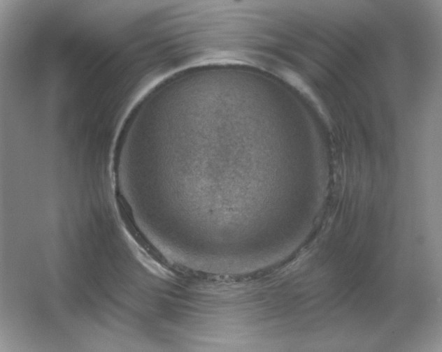 X0000067501372200604071215