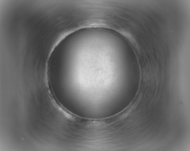 X0000067501374200604071215