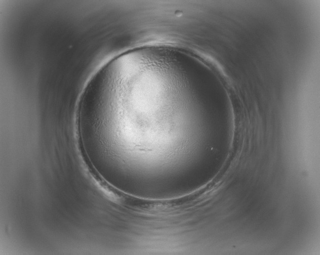 X0000067501375200604071215