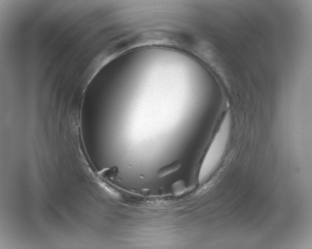 X0000067501377200604071215