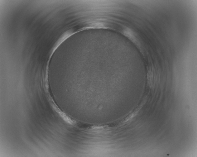 X0000067501378200604071215