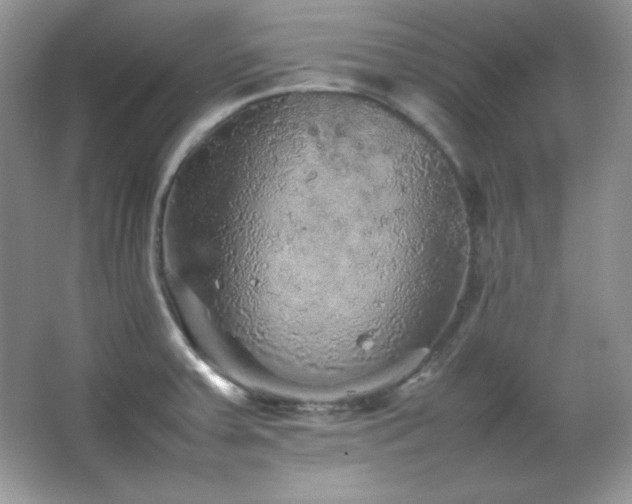 X0000067501379200604071215