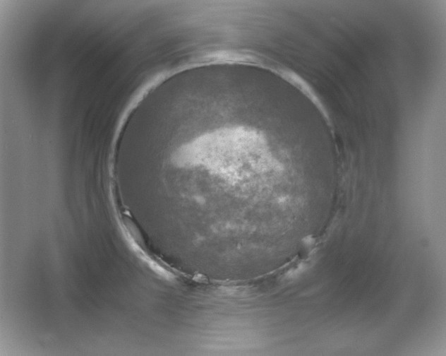 X0000067501381200604071215