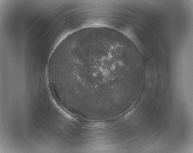 X0000067501382200604071215