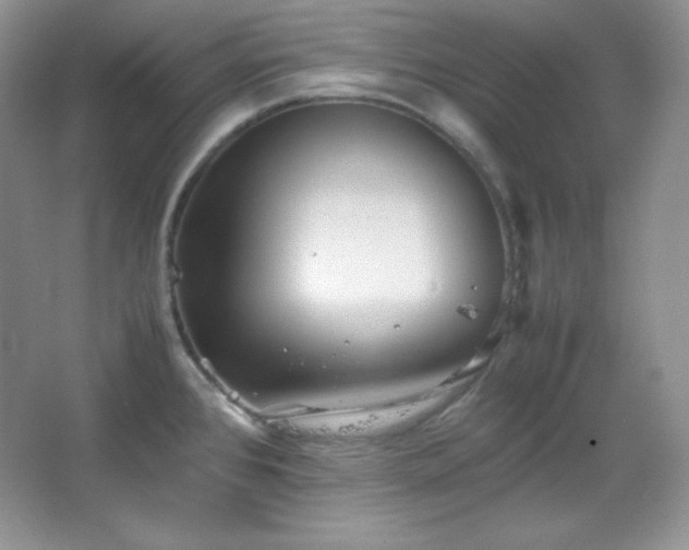 X0000067501384200604071215