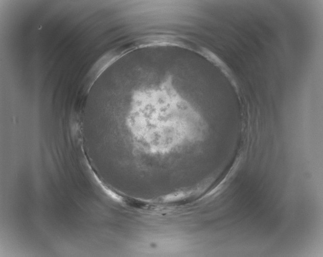 X0000067501385200604071215