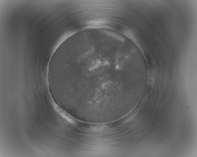 X0000067501386200604071215