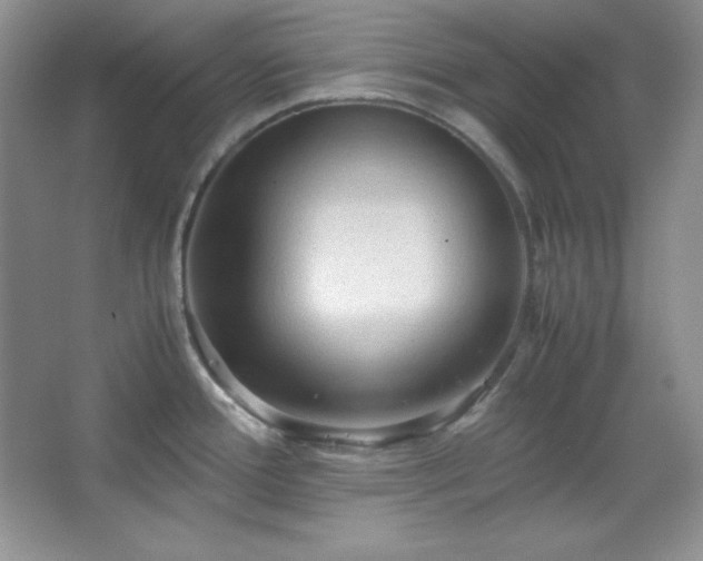 X0000067501388200604071215