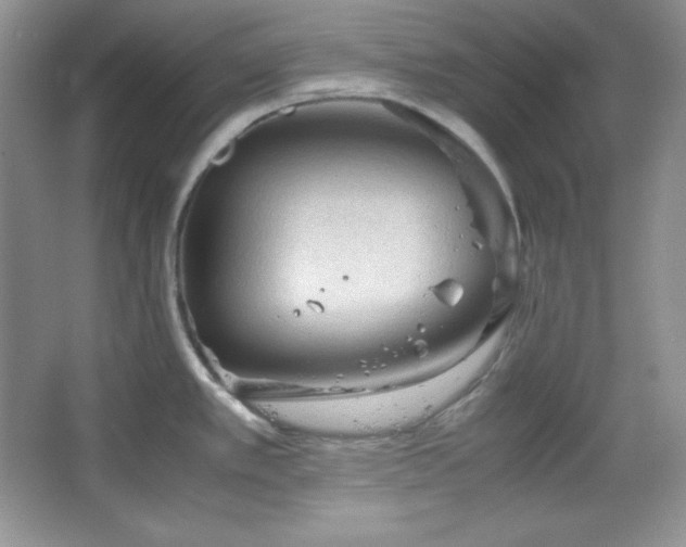 X0000067501389200604071215