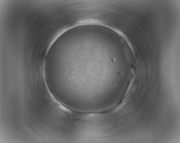 X0000067501390200604071215