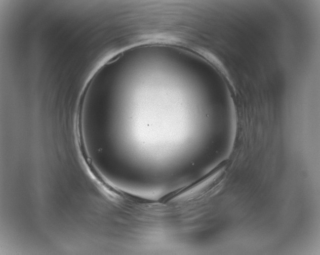 X0000067501391200604071215