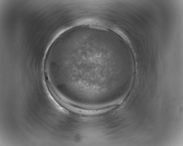 X0000067501392200604071215