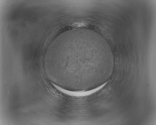 X0000067501393200604071214