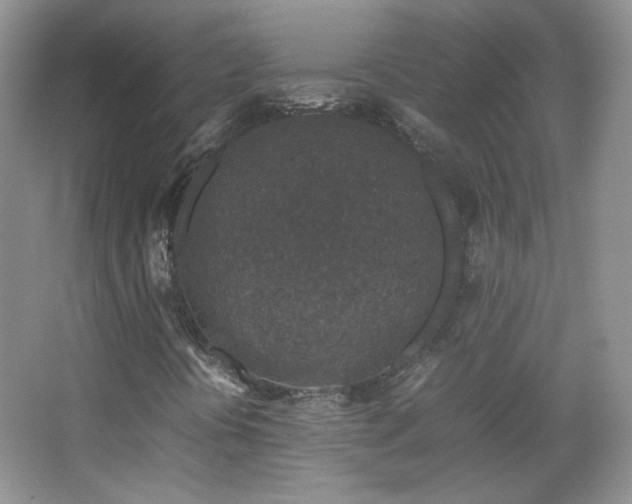 X0000067501394200604071214