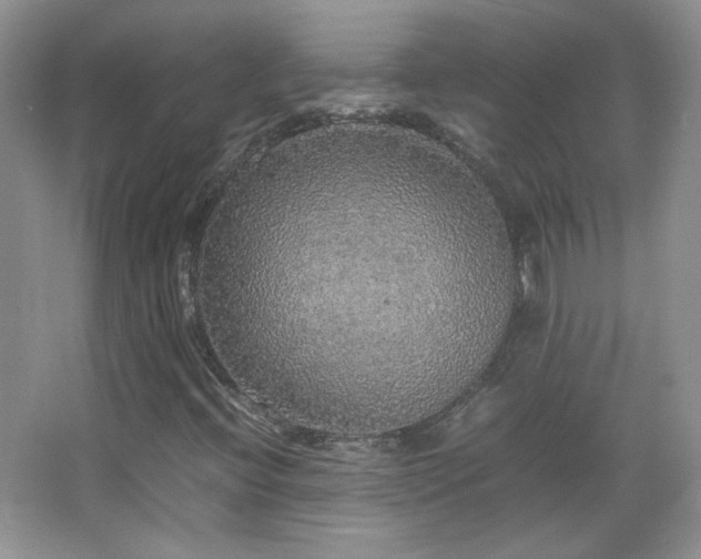 X0000067501396200604071214