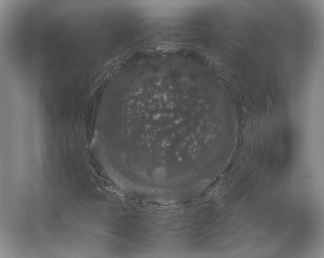 X0000067501397200604071214