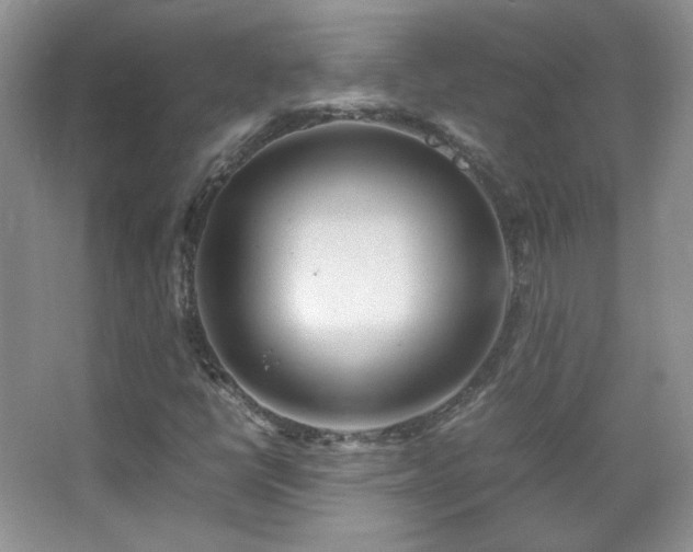 X0000067501398200604071214