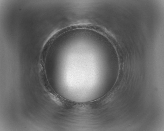 X0000067501400200604071214