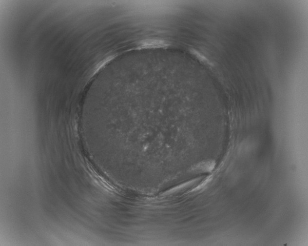 X0000067501401200604071214