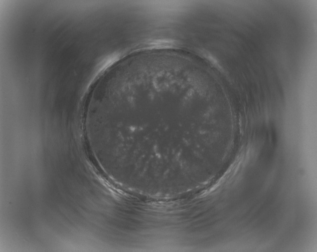 X0000067501405200604071214