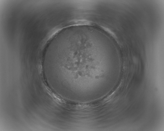 X0000067501407200604071214