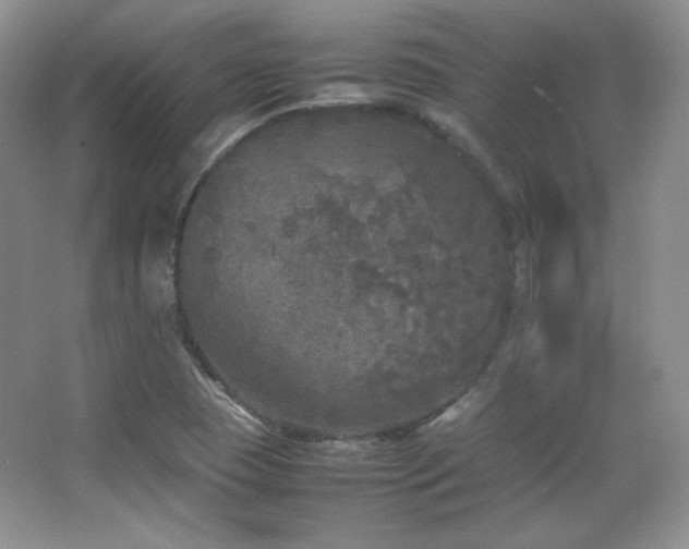 X0000067501409200604071214