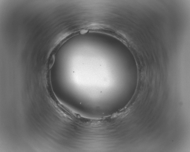 X0000067501410200604071214