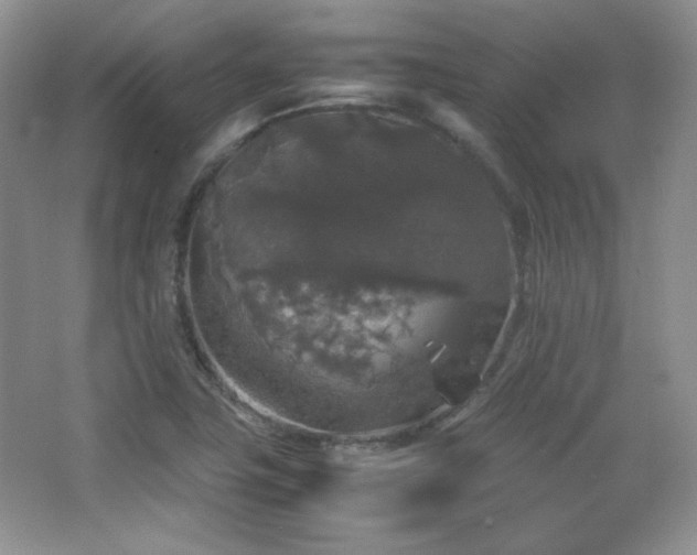 X0000067501411200604071214