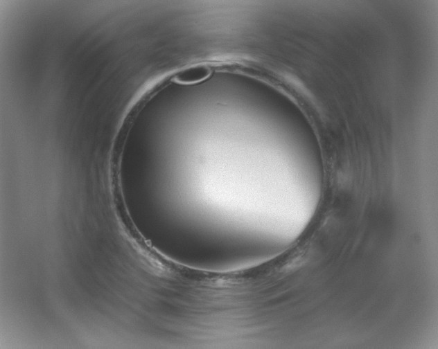 X0000067501412200604071214