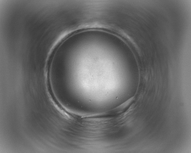 X0000067501416200604071214