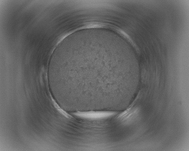 X0000067501417200604071214