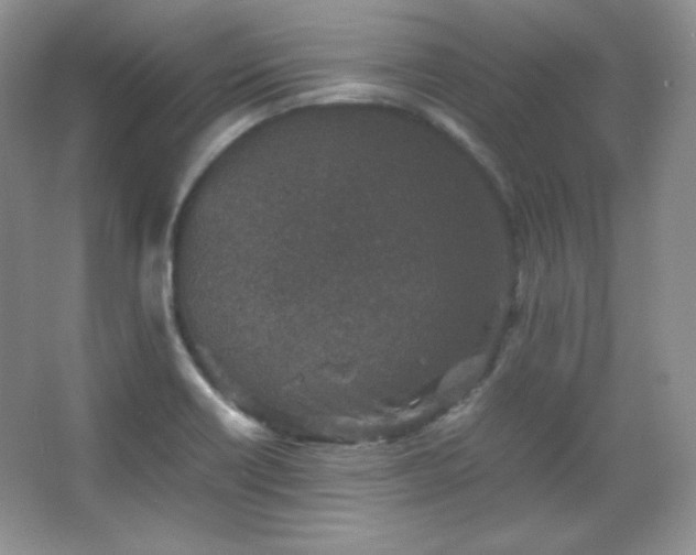 X0000067501418200604071214