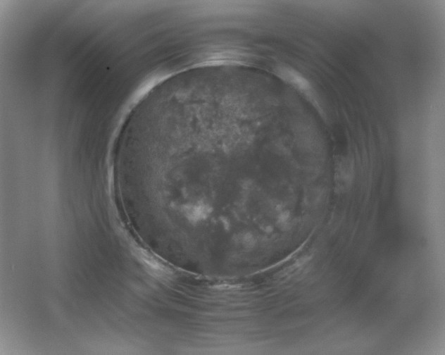 X0000067501419200604071214