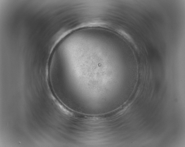 X0000067501420200604071214