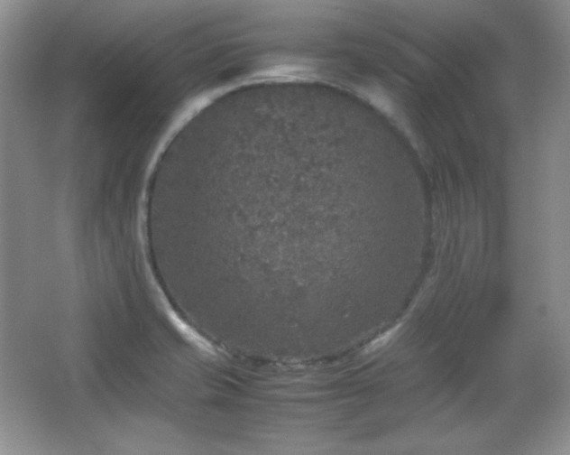 X0000067501421200604071214