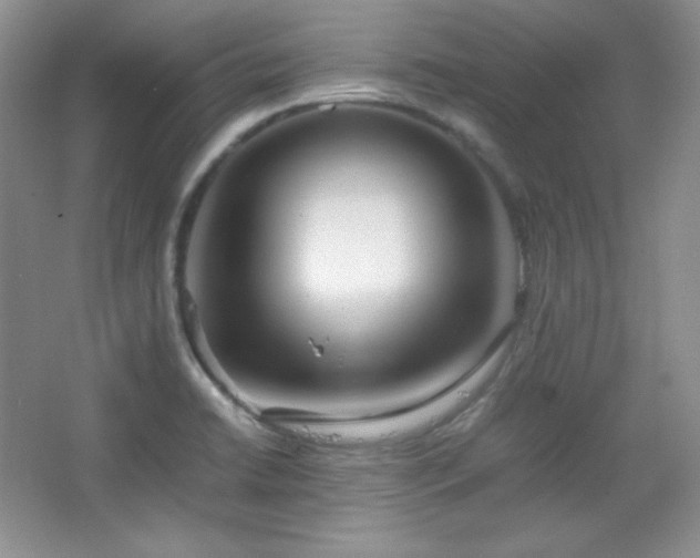 X0000067501422200604071214